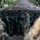 Keris MAREX 23: Final Mission Profile
