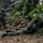 Keris MAREX 23: Final Mission Profile