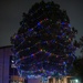 Laughlin tree lighting ceremony