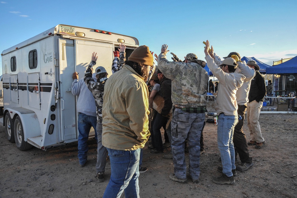 Saving a Species: The Sonoran Pronghorn