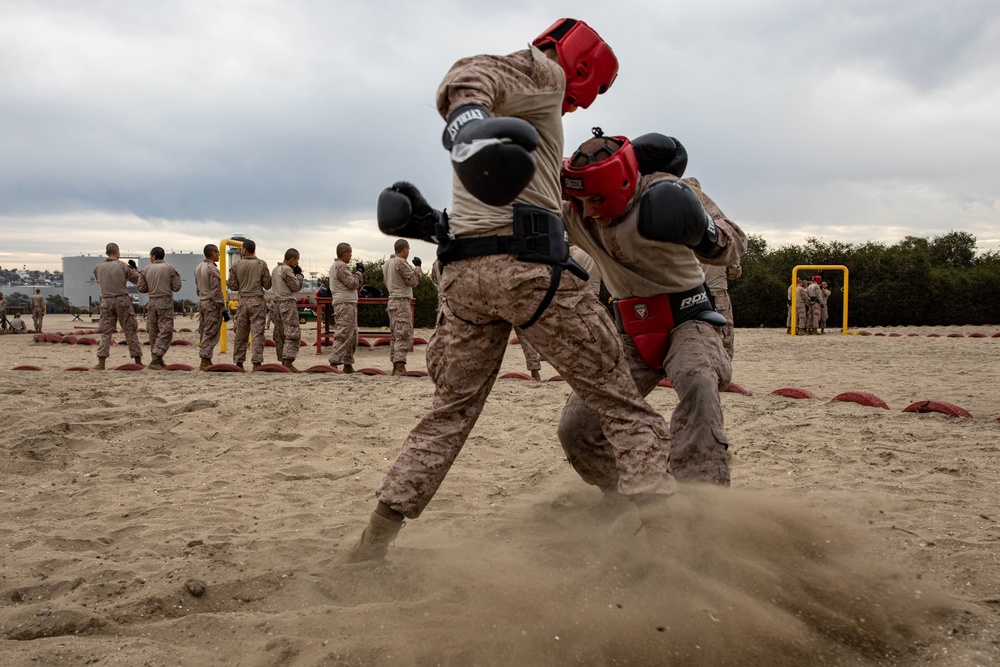 Echo Company Body Sparring and Pugil Sticks