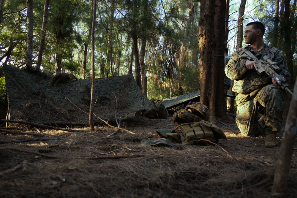 Battalion Landing Team 1/1 conducts Squad Attack Exercise