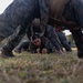 Martial Arts Instructor Course Culminating Event