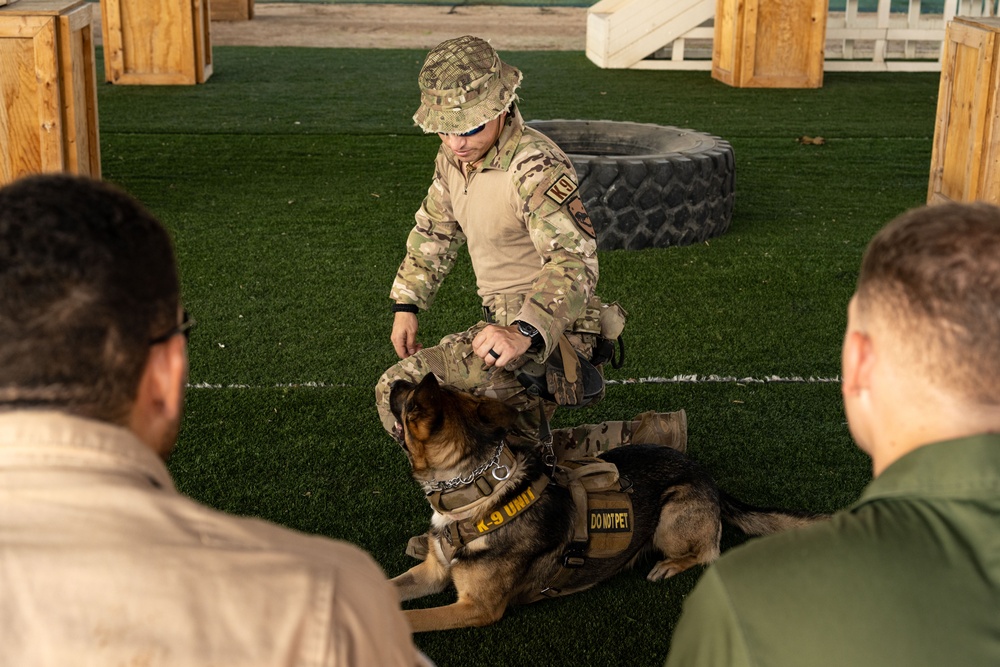 CJTF-HOA, CLDJ K9 teams enable deployed missions