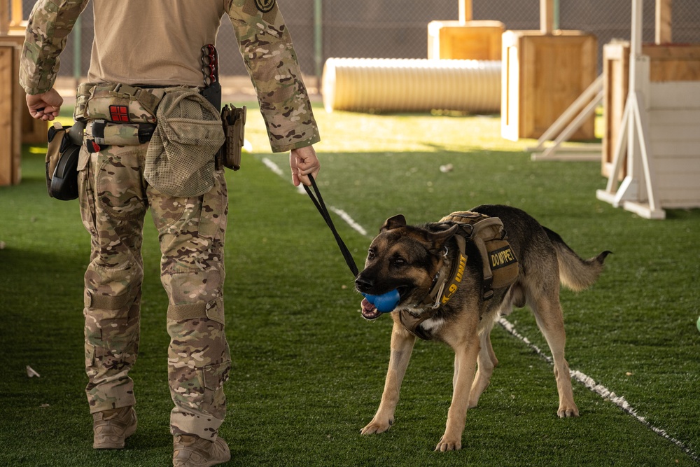 CJTF-HOA, CLDJ K9 teams enable deployed missions