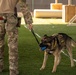 CJTF-HOA, CLDJ K9 teams enable deployed missions