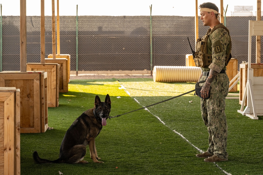 CJTF-HOA, CLDJ K9 teams enable deployed missions