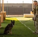 CJTF-HOA, CLDJ K9 teams enable deployed missions