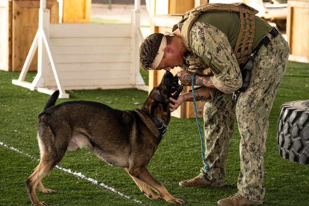 CJTF-HOA, CLDJ K9 teams enable deployed missions