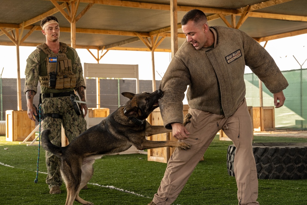 CJTF-HOA, CLDJ K9 teams enable deployed missions