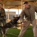 CJTF-HOA, CLDJ K9 teams enable deployed missions