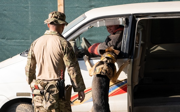 Military Working Dog demonstration