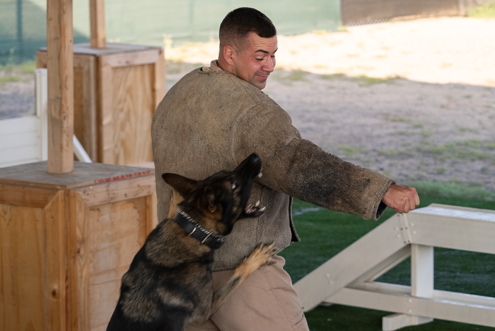 Military Working Dog demonstration