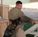 Military Working Dog demonstration