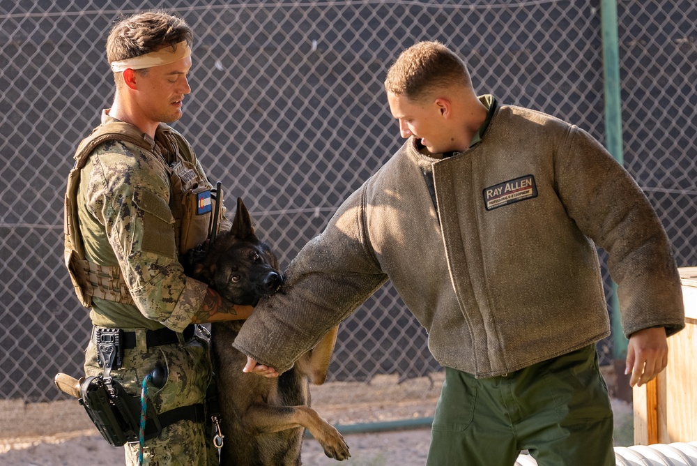 Military Working Dog demonstration