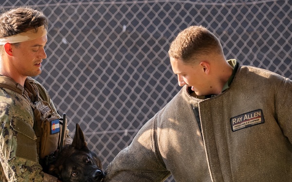 Military Working Dog demonstration