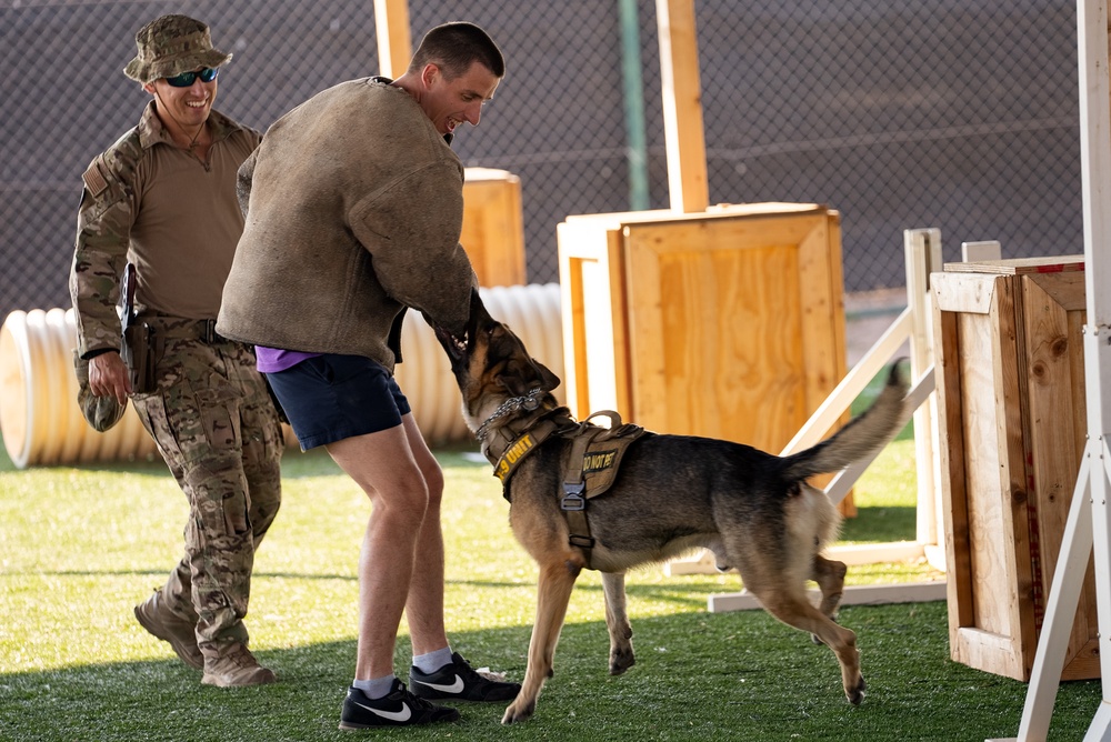 Military Working Dog demonstration
