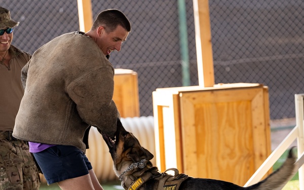 Military Working Dog demonstration