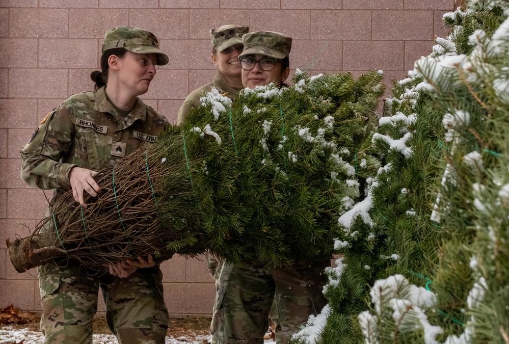 Cooperative effort provides veterans, National Guard members opportunity to have ‘real’ Christmas trees