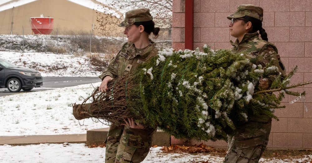 Cooperative effort provides veterans, National Guard members opportunity to have ‘real’ Christmas trees