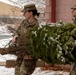 Cooperative effort provides veterans, National Guard members opportunity to have ‘real’ Christmas trees