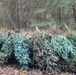 Army Corps to collect Christmas trees at Tionesta Lake