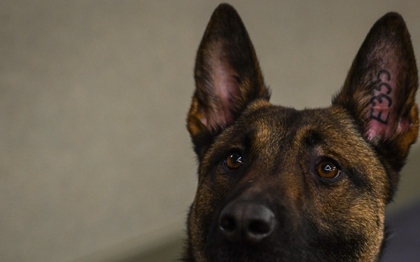 The 319th SFS Retires MWD Zsolti
