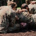 USMA platoon versus platoon combatives during CLDT