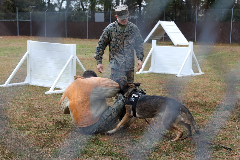 MCAS Beaufort help grant Trent's wish with Make-A-Wish