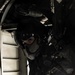 U.S. Marine Corps Sgt. Rachel Myers Doing What She Loves