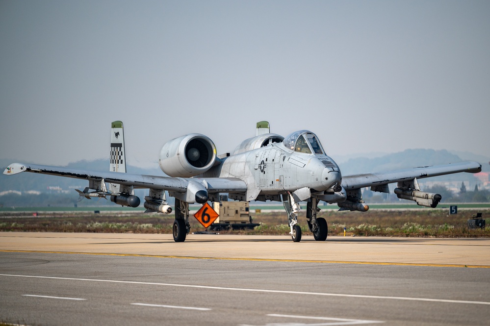 51st FW conducts fighter interoperability during VD24