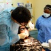 Pacific Partnership 2024-1: Dental Side-by-Sides at Belau National Hospital