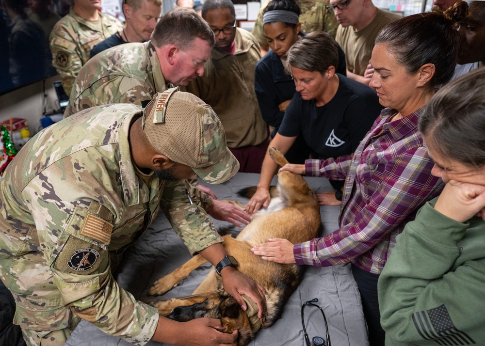 Unleashing Canine-TCCC