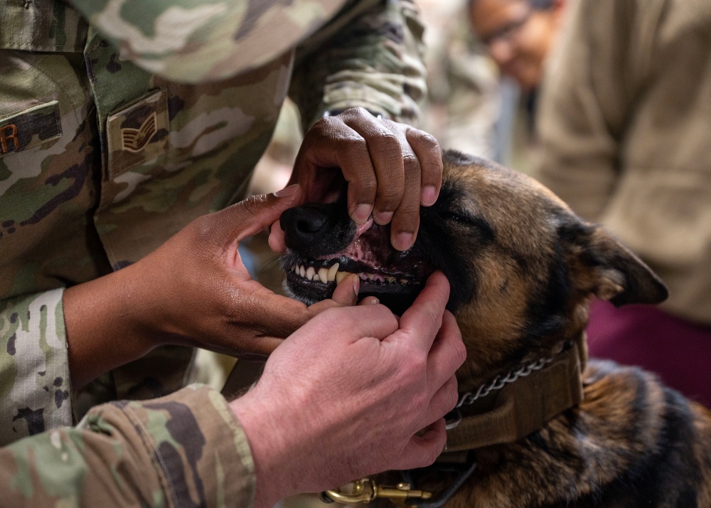 Unleashing Canine-TCCC