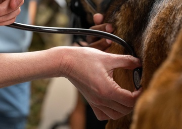 Unleashing Canine-TCCC