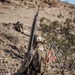 V3/4 conducts company assault at Range 401 during Steel Knight 23.2