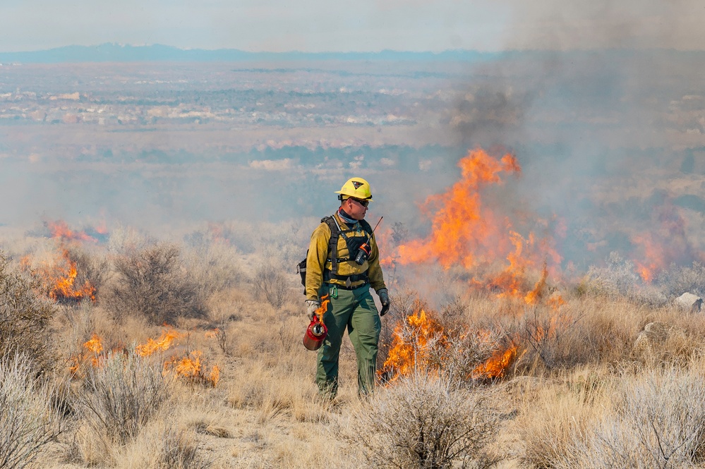 Kirtland Air Force Base Prescribed Burn