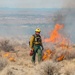 Kirtland Air Force Base Prescribed Burn