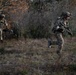 Rangers Conduct Live Fire Training