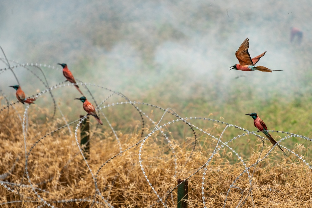 Manda Bay Fire Conducts Controlled Burn