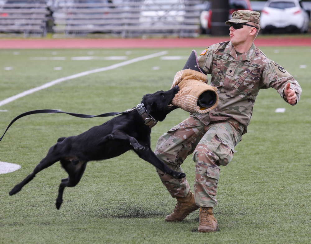 Military working dogs sniff out narcotics, display skills for anti-drug week