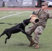 Military working dogs sniff out narcotics, display skills for anti-drug week