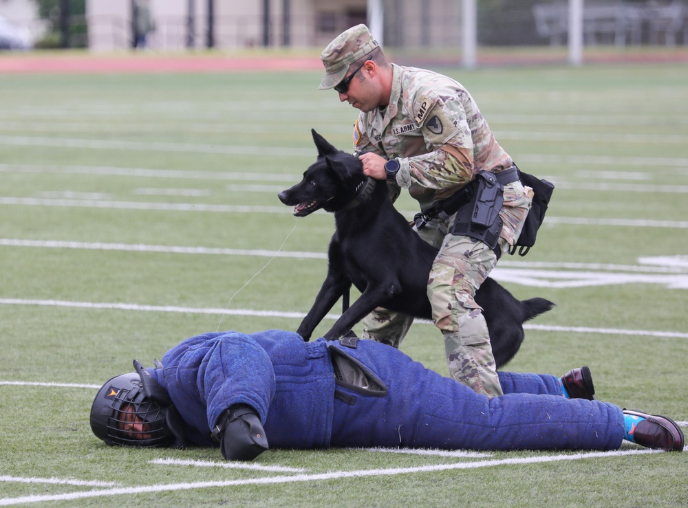 Military working dogs sniff out narcotics, display skills for anti-drug week