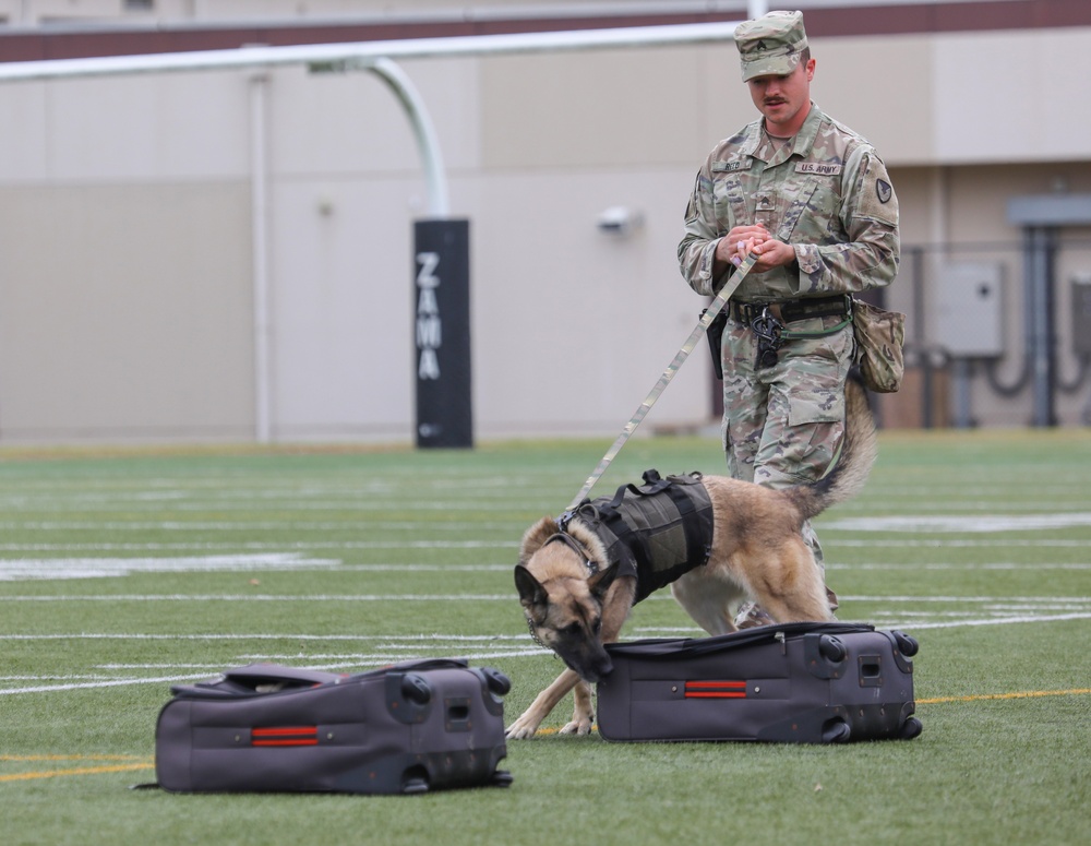 Military working dogs sniff out narcotics, display skills for anti-drug week