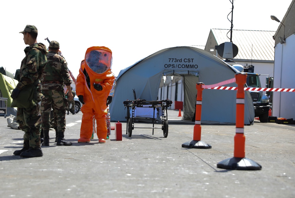 Reserve CST Leads Multi-National CBRN Demonstration