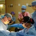 Pacific Partnership 24-1: Side-by-Side Surgery at Belau National Hospital