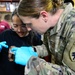 Pacific Partnership 2024-1: U.S. Army Veterinarians Side-by-Side