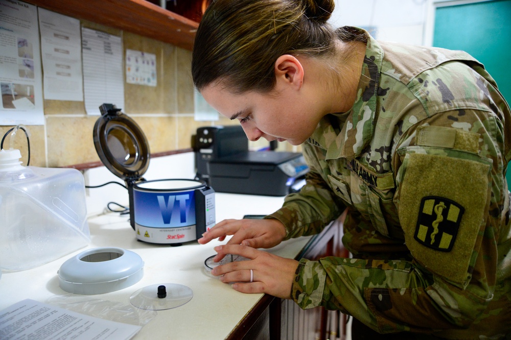 Pacific Partnership 2024-1: U.S. Army Veterinarians Side-by-Side