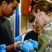 Pacific Partnership 2024-1: U.S. Army Veterinarians Side-by-Side