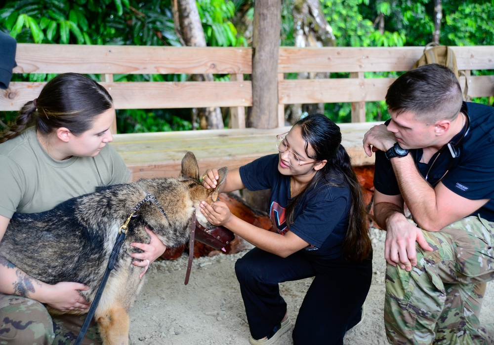 Pacific Partnership 2024-1: U.S. Army Veterinarians Side-by-Side